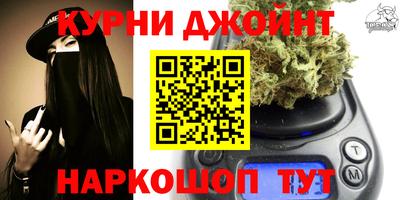 mdpv Гатчина