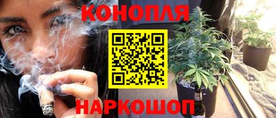 mdpv Гатчина