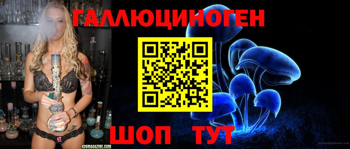 наркошоп  Вход с VPN  Кулебаки  Псилоцибиновые грибы MAGIC MUSHROOMS 